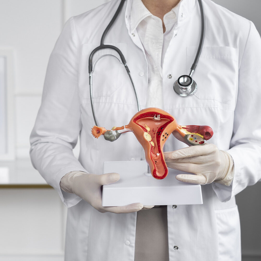 doctor-de-vista-frontal-con-modelo-anatomico